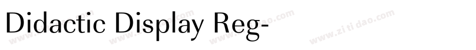 Didactic Display Reg字体转换